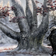 Illustration for article titled emGame of Thrones/em concept art provides a ravens eye view of Westeros and beyond